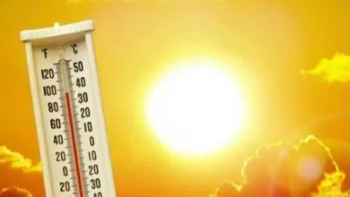 الأرصاد توضح متى يبدأ فصل الصيف ويكشف عن توقعات حالة الطقس في شم النسيم