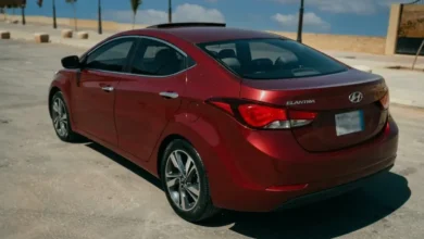 الأسعار الصادمة للفراخ اليوم البانية 240 جنيها والبيض يشهد انهيارا جديدا