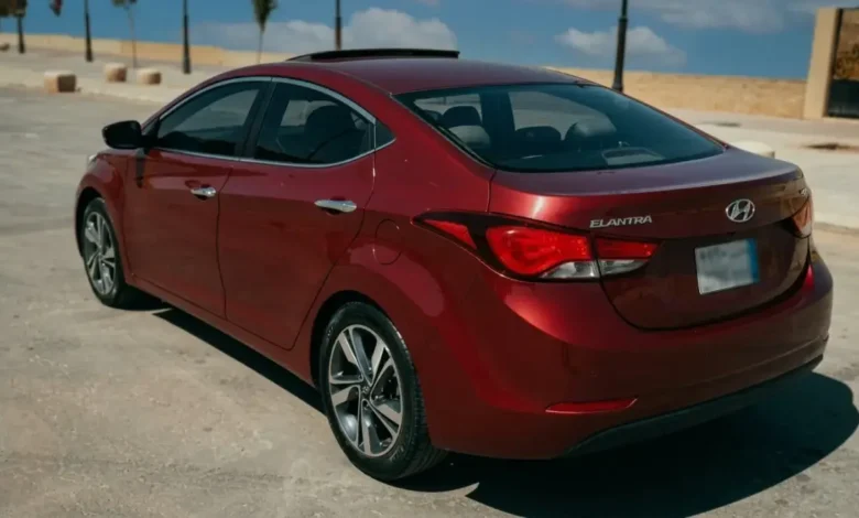 الأسعار الصادمة للفراخ اليوم البانية 240 جنيها والبيض يشهد انهيارا جديدا