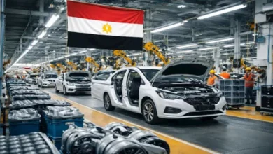 المالية تخصص مليار جنيه لدعم خطة وطنية طموحة لتوطين صناعة السيارات في مصر
