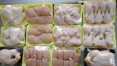 انخفاض كبير وأسعار الدواجن تشهد تراجع ملحوظ في الأسواق اليوم الإثنين