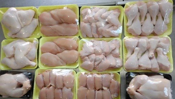 انخفاض كبير وأسعار الدواجن تشهد تراجع ملحوظ في الأسواق اليوم الإثنين