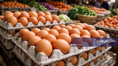 تجاوزت أسعار كرتونة البيض الأبيض والأحمر في الأسواق حاجز المئة جنيه مع اقتراب احتفالات الربيع