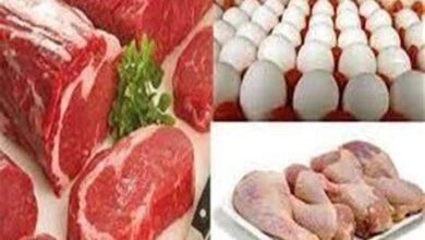 تحديث أسعار اللحوم والدواجن والبيض والأسماك في أسيوط اليوم 25 أبريل 2026