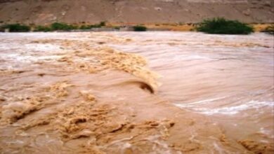 تحذير من أزمة صحية خطيرة تضرب اليمن والسعودية وتوقع سقوط ضحايا في محافظة مهمة