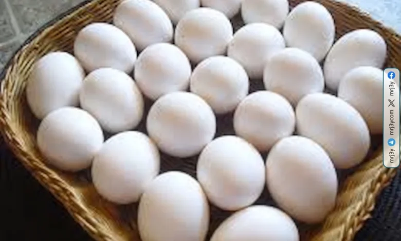 تراجع أسعار البيض في كفر الشيخ اليوم السبت في المزارع والأسواق