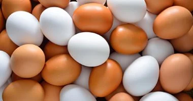 تراجع أسعار كرتونة البيض في كفر الشيخ إلى 110 جنيهات السبت