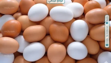 تراجع سعر كرتونة البيض اليوم في الأسواق المصرية مع انخفاض جديد للمستهلك