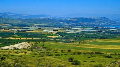 تزايد الزوار في أرياف إربد مع بداية عطلة نهاية الأسبوع