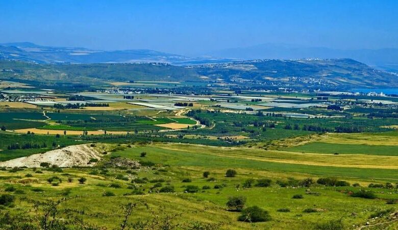 تزايد الزوار في أرياف إربد مع بداية عطلة نهاية الأسبوع