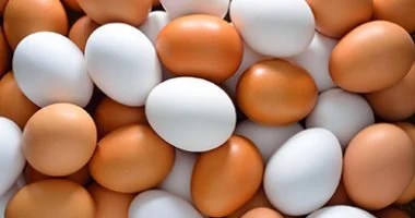 تغيرات ملحوظة في أسعار كرتونة البيض بأسواق كفر الشيخ السبت 11 أبريل 2026