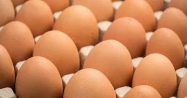 تفاوت ملحوظ في أسعار البيض والبقوليات بأسواق سوهاج اليوم