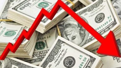 تقلبات أسعار الدولار في السوق وتأثيرها على الاقتصاد الوطني