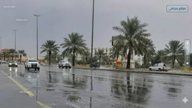 توقعات حالة الجو في السعودية اليوم وفقًا للمركز الوطني للأرصاد