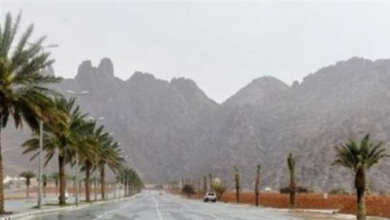 توقعات لهطول أمطار وفرص عالية لأجواء معتدلة في المملكة مع درجات حرارة تصل إلى 28 درجة