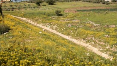 حالة الطقس في الأردن السبت وتأثيراتها المتوقعة على المناطق المختلفة