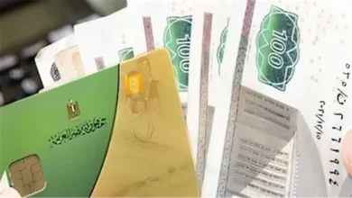 خطوات تفعيل بطاقة التموين إلكترونيا لعام 2026 عبر بوابة مصر الرقمية