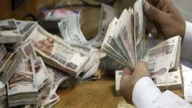 خطوات تقديم تظلم على الاستبعاد من بطاقة التموين لعام 2026 بأسلوب جديد