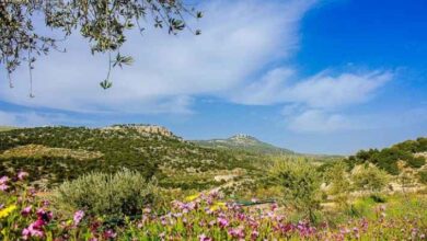 درجات الحرارة في الأردن تواصل الارتفاع التدريجي خلال الأيام المقبلة وتوقعات بارتفاع مستمر في درجات الحرارة