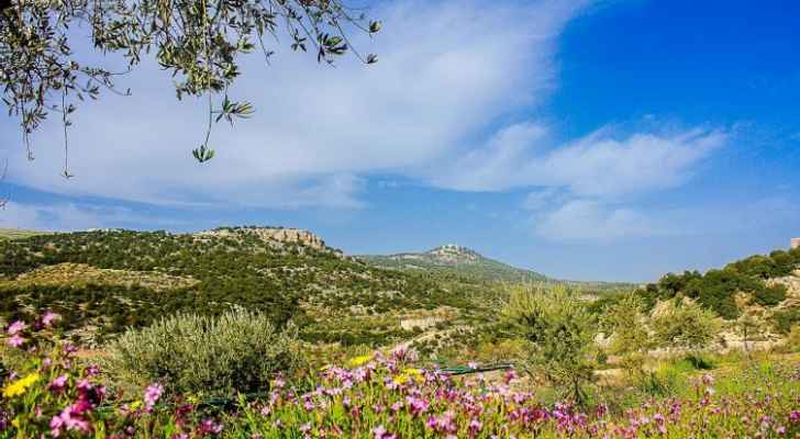 درجات الحرارة في الأردن تواصل الارتفاع التدريجي خلال الأيام المقبلة وتوقعات بارتفاع مستمر في درجات الحرارة