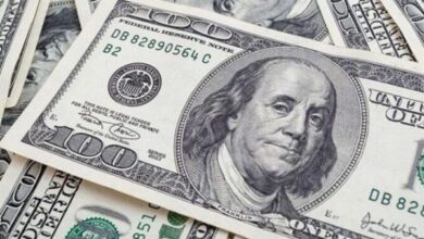 سعر الدولار اليوم يواصل استقراره في السوق المحلية