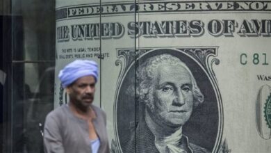 سعر الدولار مقابل الجنيه المصري اليوم وتحديثات السوق اليوم