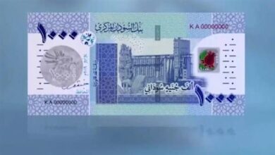 سعر الدولار مقابل الجنيه في بنك السودان المركزي اليوم الأحد بين التذبذب والاستقرار