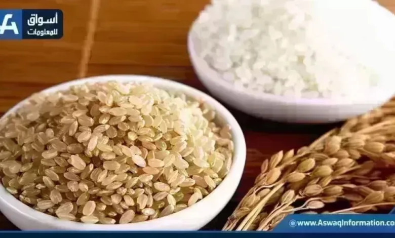سعر طن الأرز الشعير اليوم الأحد في الأسواق مع أحدث تحديثات أسعار السلع