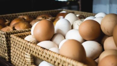 سعر كرتونة البيض اليوم الأحد 12 أبريل 2026 في المحلات وأحدث التغيرات في الأسواق