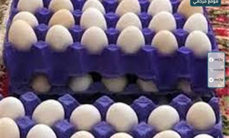 سعر كرتونة البيض اليوم الاثنين 13 ابريل 2026 في الأسواق المصرية للمستهلك والجملة يتصدر الأسعار ويتحكم في ميزانية الأسر