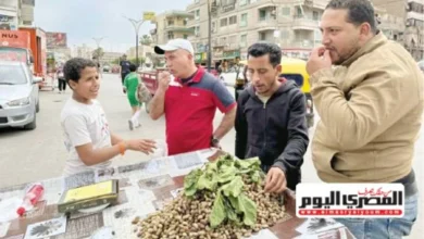 سعر كيلو التوت يتجاوز اللحمة والتفاح في بعض الأصناف ويرتفع إلى أكثر من ٦٠٠ جنيه