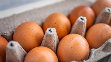 شم النسيم أسعار طبق البيض في بورصة الدواجن اليوم 12 أبريل 2026 وأبرز التغيرات المتوقعة