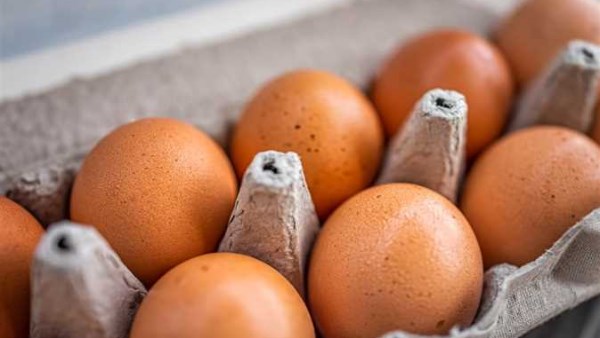 شم النسيم أسعار طبق البيض في بورصة الدواجن اليوم 12 أبريل 2026 وأبرز التغيرات المتوقعة
