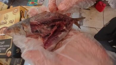 ضبط كميات ضخمة من الرنجة الفاسدة وبطاقات الدعم والمبيدات المخالفة في الغربية