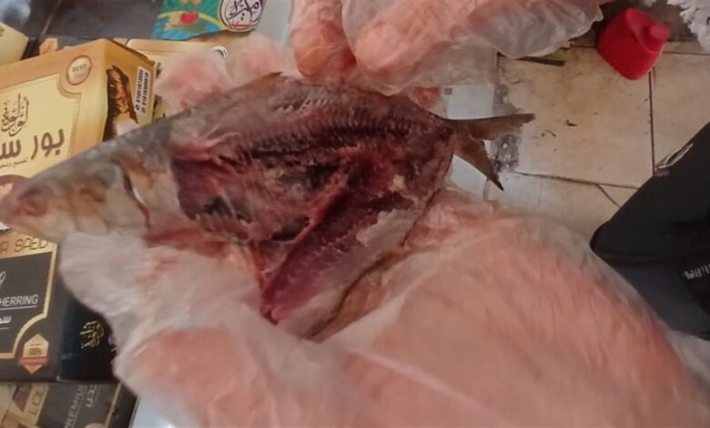 ضبط كميات ضخمة من الرنجة الفاسدة وبطاقات الدعم والمبيدات المخالفة في الغربية