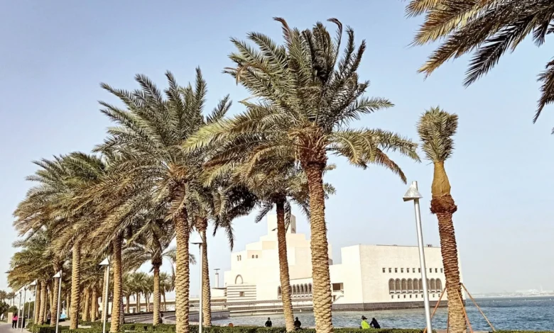 طقس معتدل الحرارة يسود سواحل البلاد الليلة