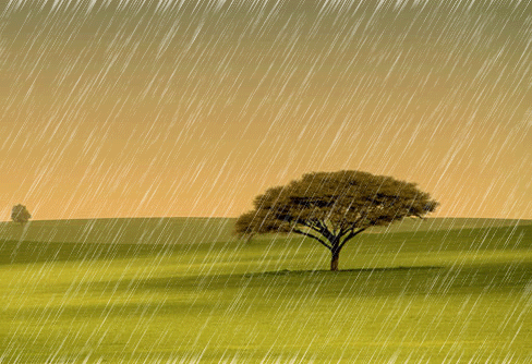 عودة الأمطار إلى الأردن وبلاد الشام تتوقع في هذا التاريخ