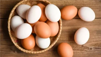 كم يبلغ سعر كرتونة البيض اليوم لجميع الأنواع الأبيض الأحمر والبلدي في الأسواق المحلية
