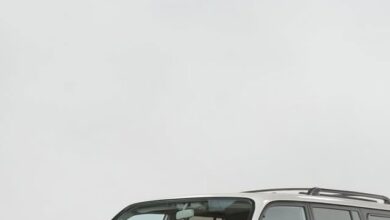 كيف أصبح انستجرام المنصة الرائدة التي غيّرت عالم التواصل الاجتماعي بشكل جذري