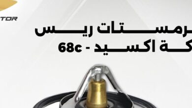 كيف أصبحت إنستغرام منصة لا غنى عنها لملايين المستخدمين حول العالم