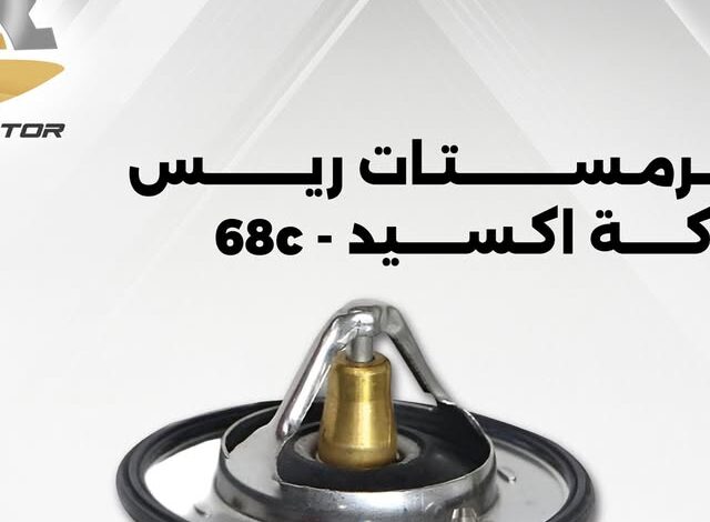 كيف أصبحت إنستغرام منصة لا غنى عنها لملايين المستخدمين حول العالم