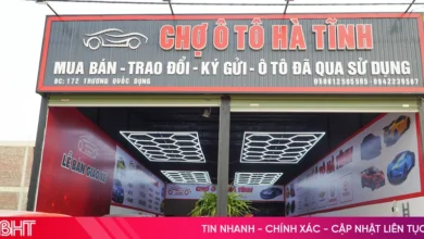 كيف ستتغير حركة سوق السيارات المستعملة مع تطبيق لوائح الانبعاثات الجديدة