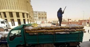 موسم حصاد وتوريد القمح في سوهاج ينطلق بحماس