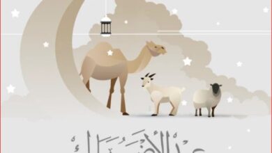 موعد وقفة عرفات وعيد الأضحى والإجازات الرسمية المتبقية لعام 2026