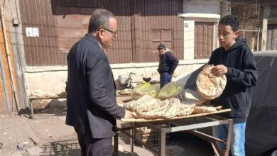 نجاح حملات تفتيشية مكثفة في الدقهلية تؤدي إلى تحرير 97 مخالفة تموينية