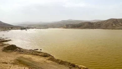 وزير الري يوضح أن محطة بحر البقر تدفع بتنمية سيناء بشكل كبير